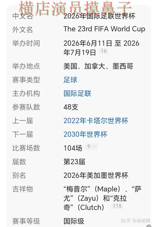 世界杯买球网站解析报告：玩法指南+直播与实际体验总结 - 2026世界杯